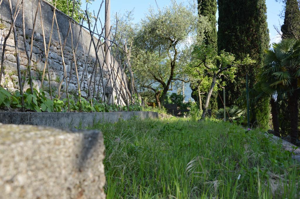 Arco Climbing Villa Exterior foto