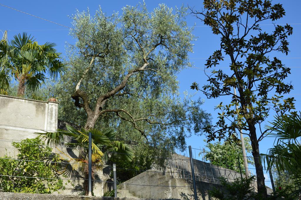 Arco Climbing Villa Exterior foto